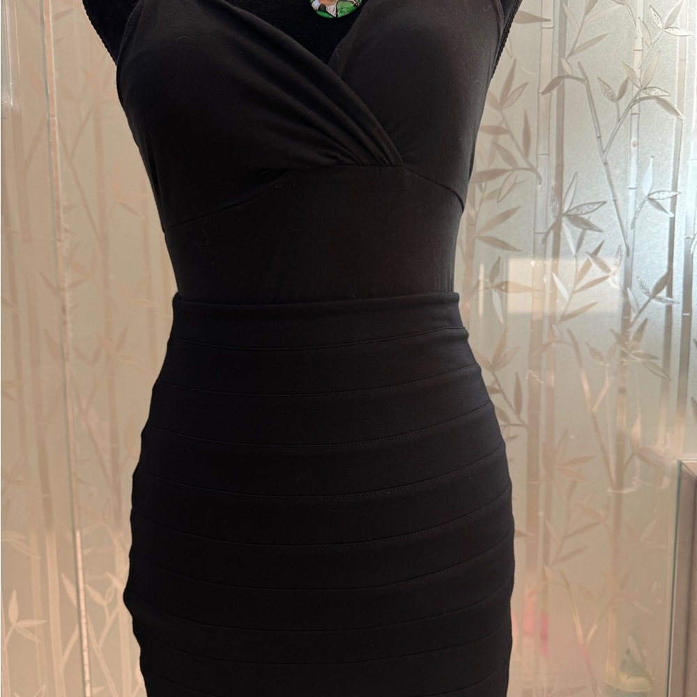 Size 0 Express Fitted Skirt-New